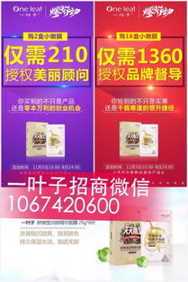 一葉子面膜代理全攻略 半門檻招募助力全國創業新機遇